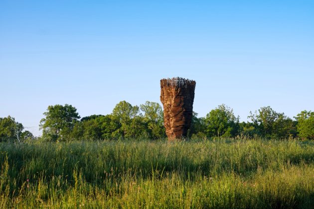 Rowdy Meadow by Reed Hilderbrand