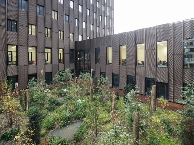 DTU 313 Climate Challenge Laboratory by 1:1 Landskab