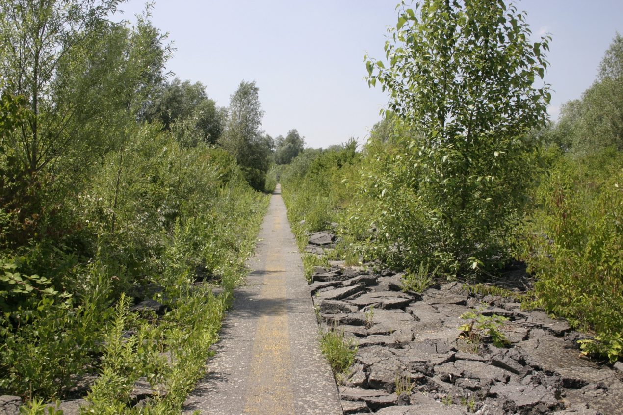 Airport Landscapes, Decommissioning, and Urban Futures