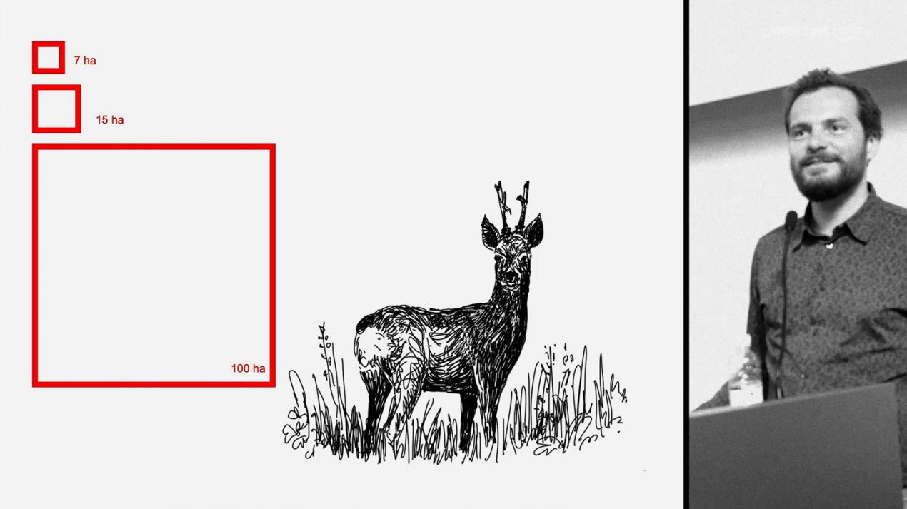 Video Lecture: Wagon Landscaping
