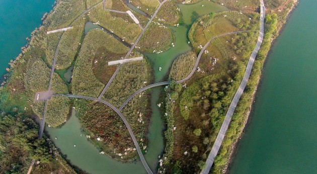 River Forest Island by SWA Group