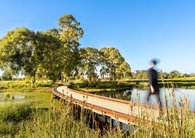 South Parklands Wetland by T.C.L